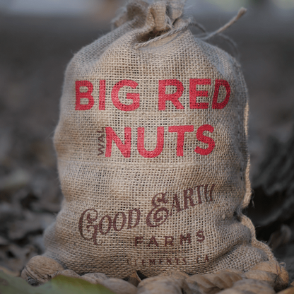 BIG RED Holiday Bundle (9 lbs)